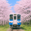 Saga