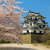 Shiga