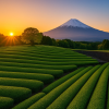 Shizuoka