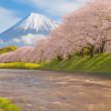 Shizuoka