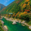 Tokushima