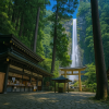Wakayama