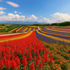 Hokkaido