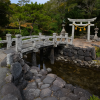 Hagi