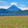 Ibusuki