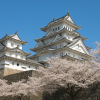 Iga Ueno