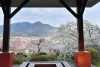 Kaminoyama Onsen