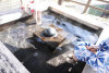 Kaminoyama Onsen