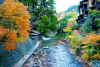 Kurokawa Onsen