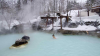 Shirahone Onsen